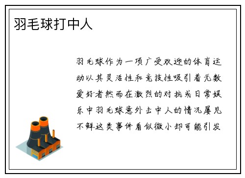羽毛球打中人