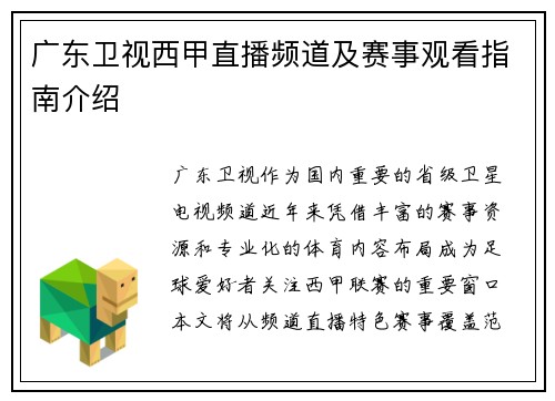 广东卫视西甲直播频道及赛事观看指南介绍
